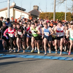 An image from the 2010 Fields of Athenry 10k.